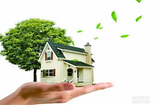 蘇州醛盾環(huán)保 專業(yè)守護車內(nèi)與室內(nèi)空氣健康，打造清新呼吸環(huán)境